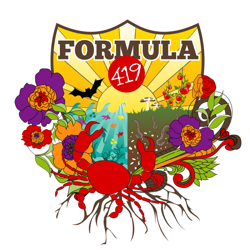 Colorful logo of Four Seasons Bulk Soil – Formula 419, which is a high-nitrogen blend