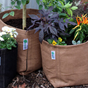 Tan GeoPot Fabric Pots help reduce root zone temperatures