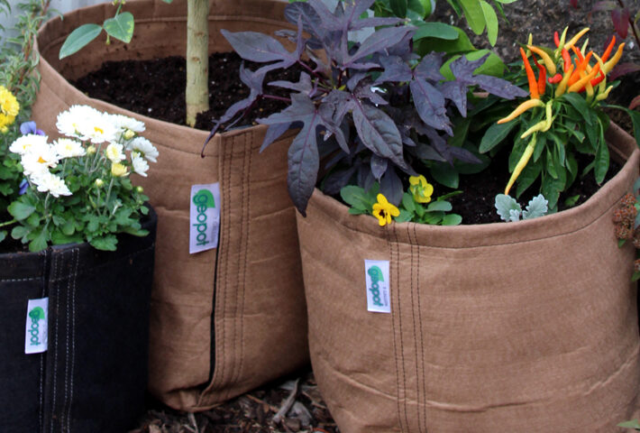 Tan GeoPot Fabric Pots help reduce root zone temperatures