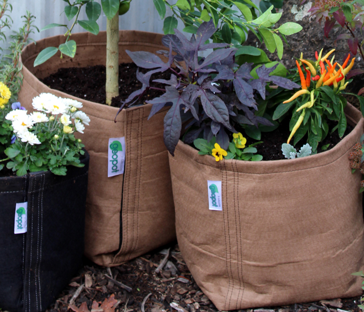 Tan GeoPot Fabric Pots help reduce root zone temperatures