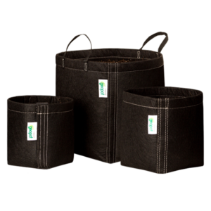 Three black GeoPot Fabric Pots, one featuring handles and another its Velcro Seam