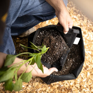 A black GeoPot Fabric Pot with Velcro Seam that makes root ball removal simple