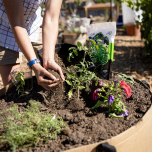 A gardener mixes Geoflora VEG into soil inside a Tan GeoPot Fabric Pot with handles