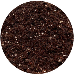 Closeup view of Royal Gold Soil – Mendo Mix, which promotes water retention and oxygen-holding capacity