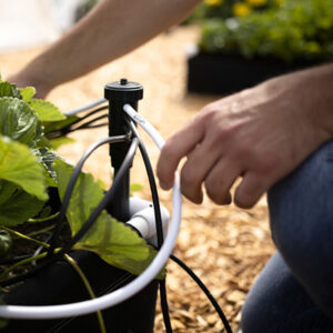 Plants flourish while a gardener easily adjusts the PVC tubing attached to the Octo-Flow manifold