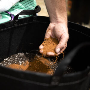 A gardener adds ECOMAX Neem Kernel Fertilizer to soil to provide microbial nutrition and better health