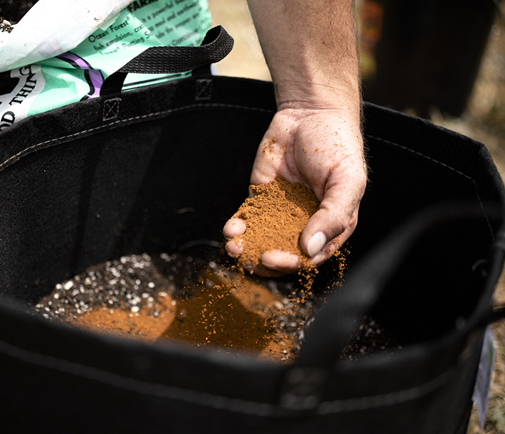 A gardener adds ECOMAX Neem Kernel Fertilizer to soil to provide microbial nutrition and better health