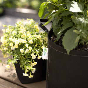 Two types of plants blossom in two different sizes of the economical G-Lite Fabric Pot