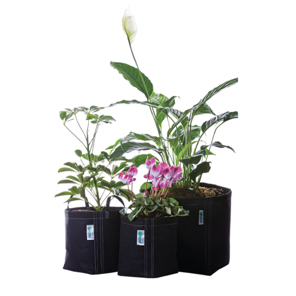 GeoPot® Fabric Pot Garden Kit Left Coast Wholesale