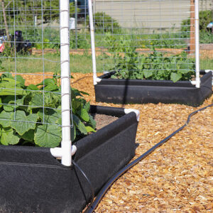 Plants grow up netting from a Trellis Kit that attaches easily to the GeoPlanter Fabric Raised Bed