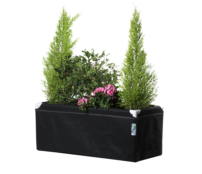Thriving plants grow inside a GeoPlanter Fabric Raised Bed, which enables air-pruning of roots