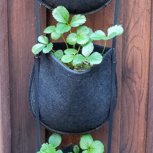 Plants peeking out from 1 of 4 pockets in the GeoPot Hanging Garden