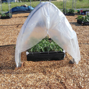 Greenhouse poly covering helps plants thrive in a GeoPlanter Fabric Raised Bed