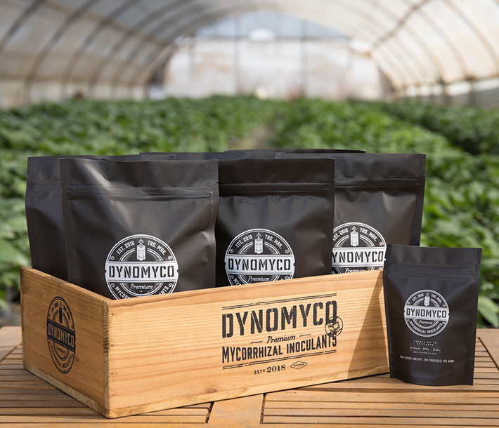 Different sizes of Dynomyco Mycorrhizal Inoculants shown in a wooden box inside a thriving greenhouse