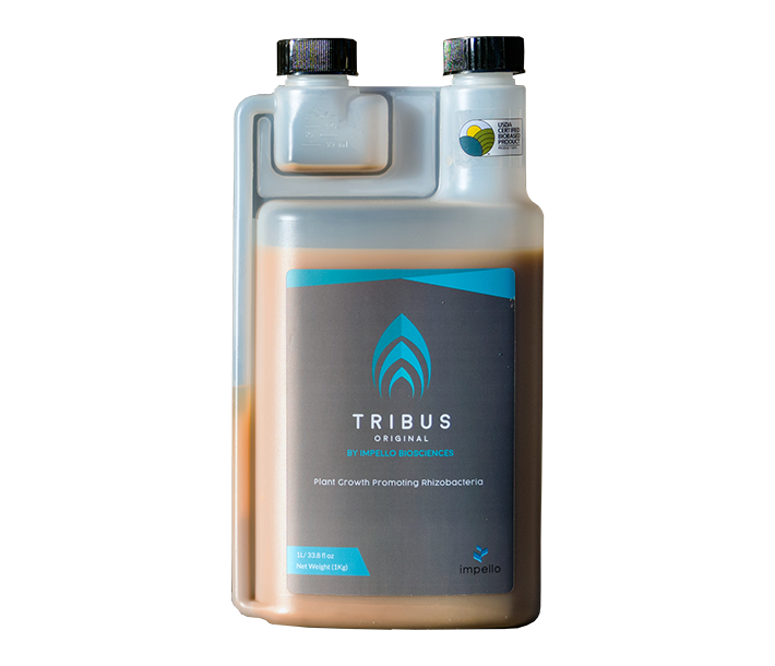 Tribus Biolstimulants, here in 1-liter size, is a revolutionary microbial from Impello Biosciences