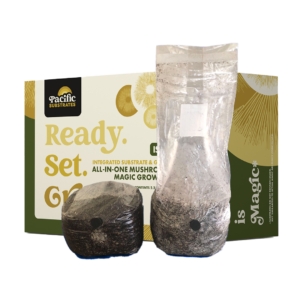 The Pacific Substrate ISG all in One Mushroom Grow kit outside of the box, in a mushroom filter bag with injection port.