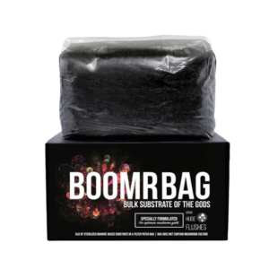 a square North Spore BOOMR BAG containing sterilized manure substrate for mushrooms on top of a branded box that reads "boomrbag"