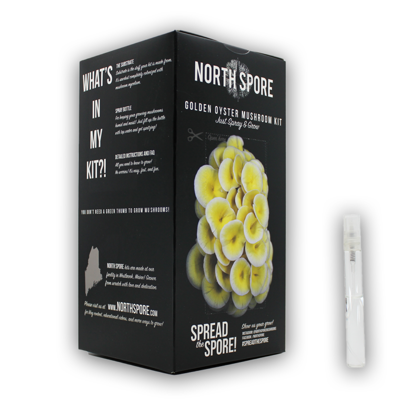 A black box with North Spore branding for the Golden Oyster Mushroom Kit reading "just spray and grow"