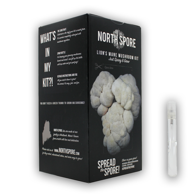 A black box with North Spore branding for the Lions Mane Mushroom Kit with some text about mushrooms.