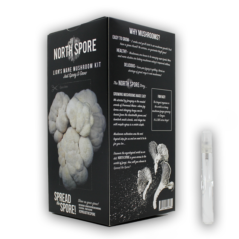 A black box with North Spore branding for the Lions Mane Mushroom Kit.
