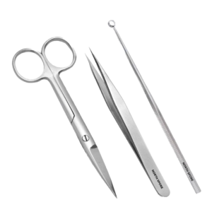 Stainless steel scissors, forceps, and inoculation loop with the label "north spore" for mycology.