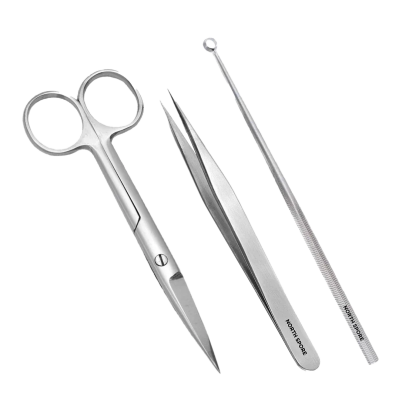 Stainless steel scissors, forceps, and inoculation loop with the label "north spore" for mycology.