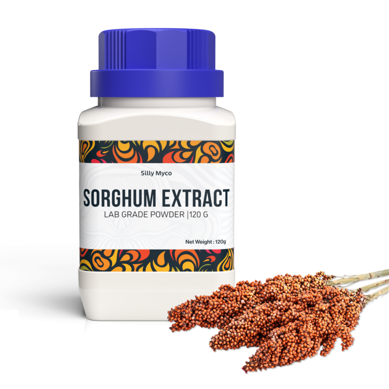 A white bottle of Silly Myco Sorghum Extract with a blue lid beside a sprig of red sorghum.