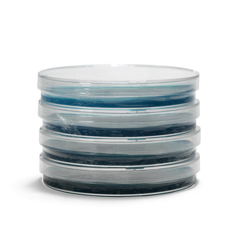 A stack of clear petri dishes with a blue agar material inside