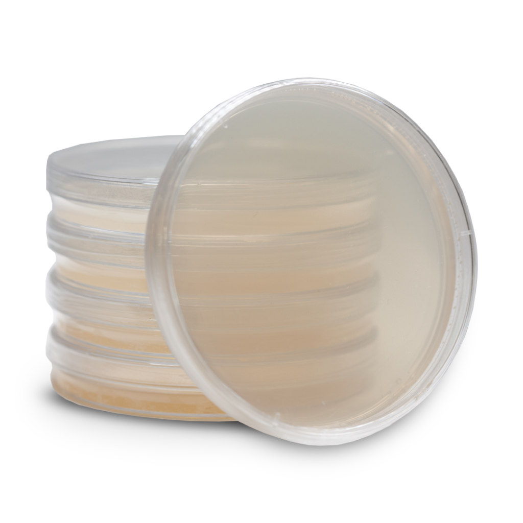 A stack of clear petri dishes with agar material inside, with one circular dish at an angle leaning against a stack of flat dishes.