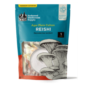 Front view of Reishi Agar Plate Culture packaging from Redwood Mushroom Supply, featuring a clear display window for easy viewing of the agar plate