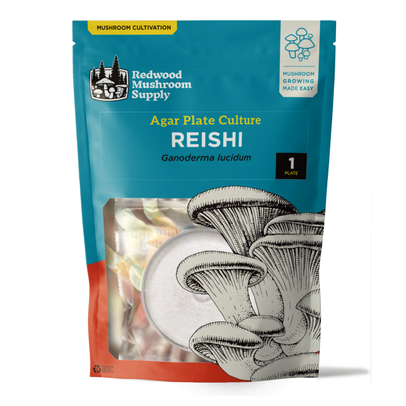 Front view of Reishi Agar Plate Culture packaging from Redwood Mushroom Supply, featuring a clear display window for easy viewing of the agar plate