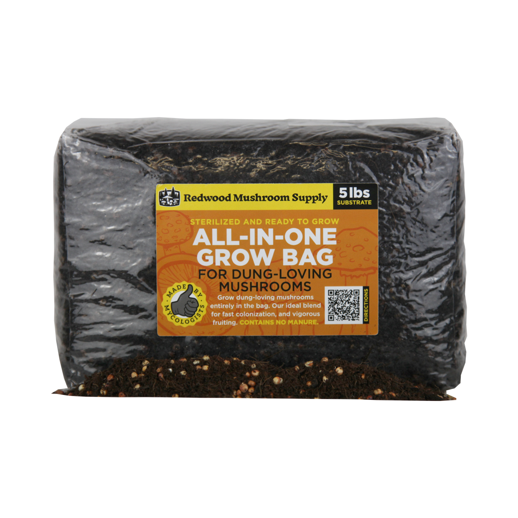 RMS-AIO-Dung-1040x-3