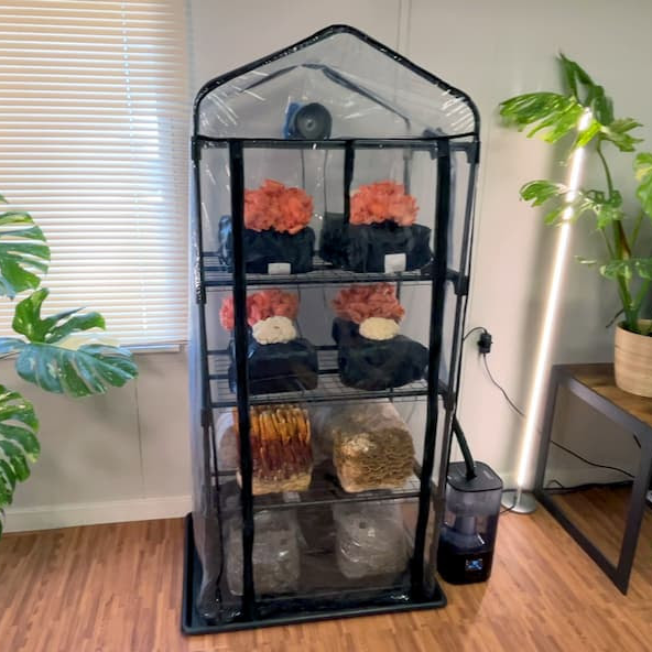 Tent Kit Group Shot 2