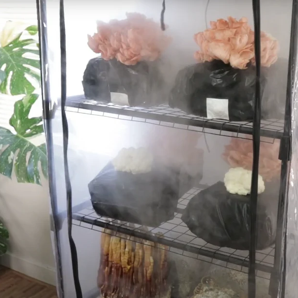 Tent Kit_w_Blocks Group Shot